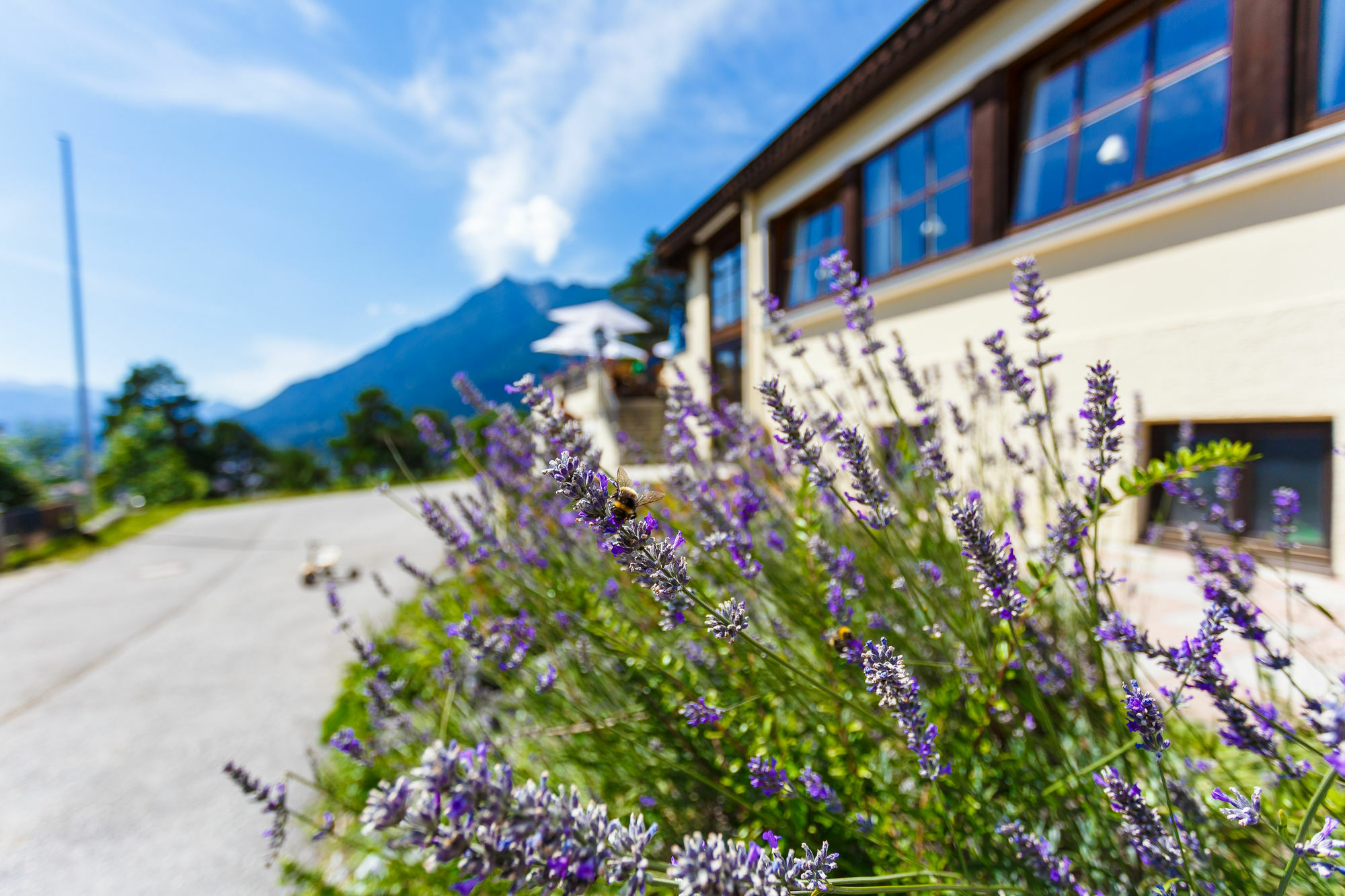 Landhotel Panorama Garmisch-Partenkirchen Eksteriør billede